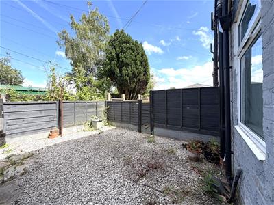 Picture 14